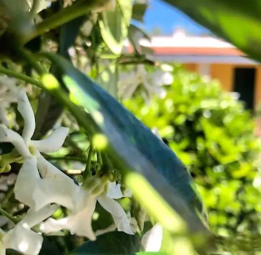 בית נופש I Gemelli *